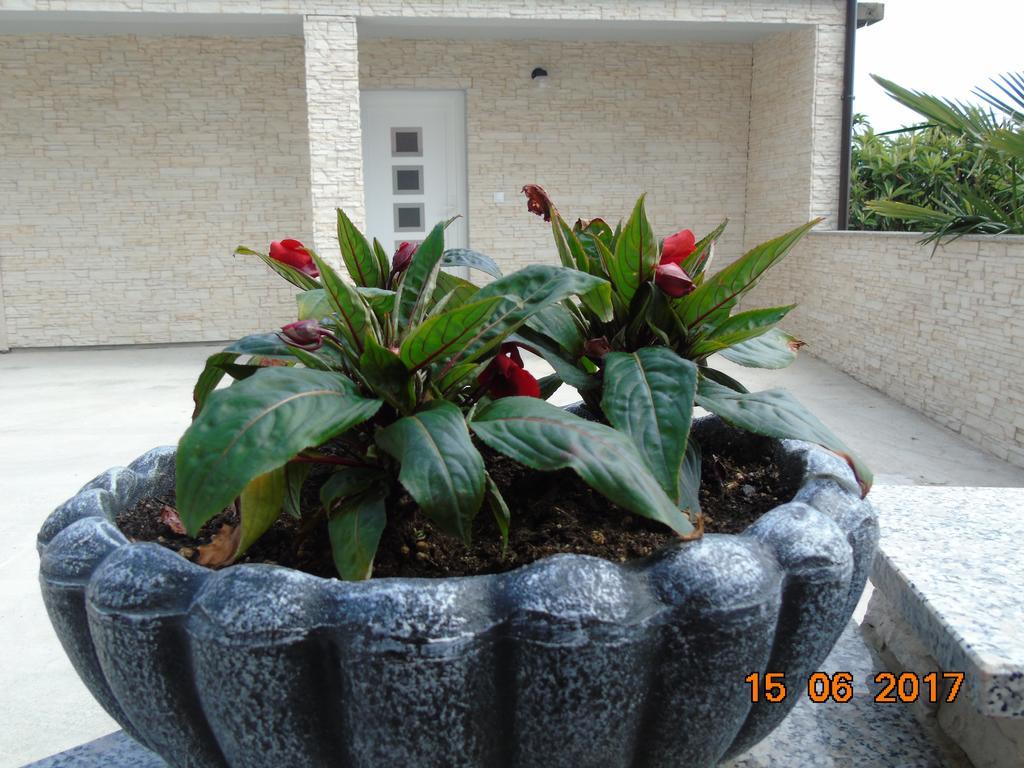 Apartment Mihael أوباتيا المظهر الخارجي الصورة